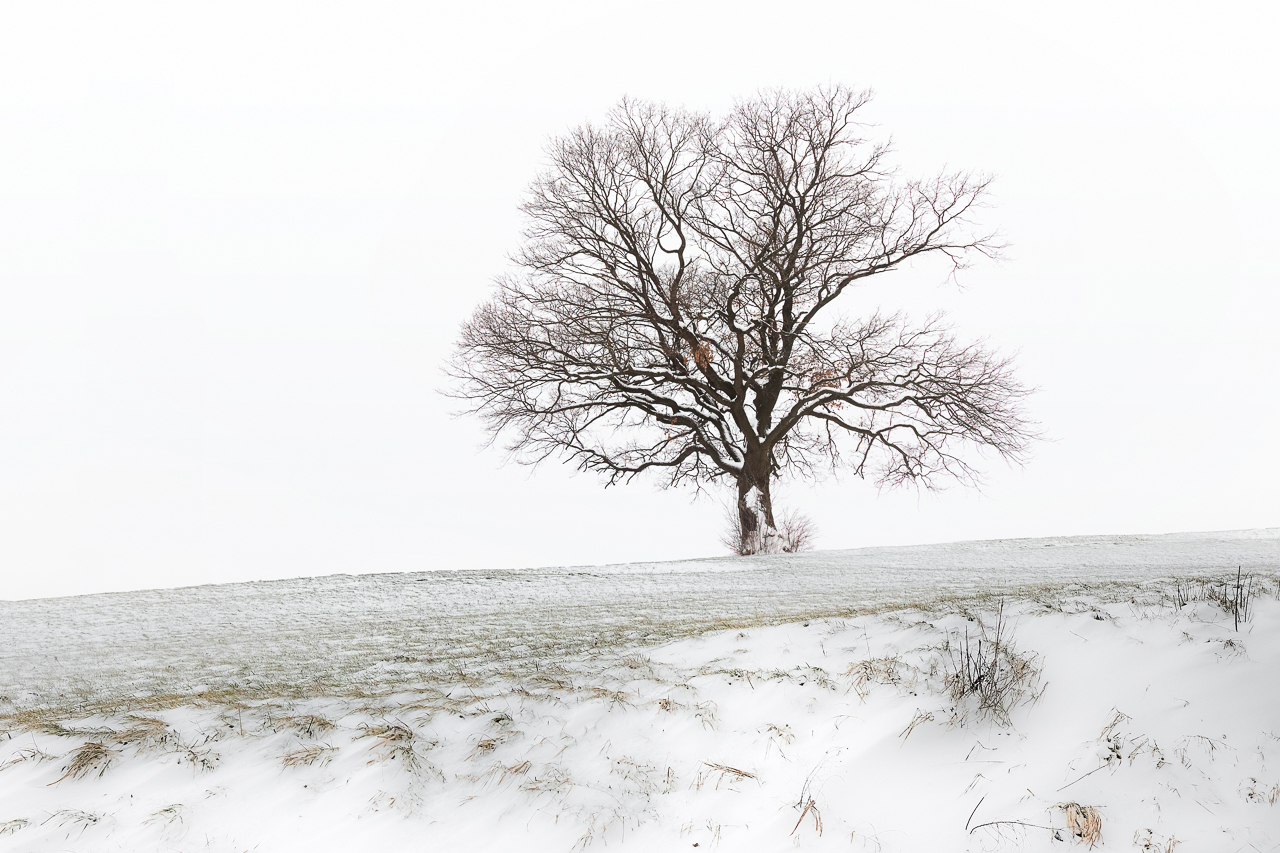 letzter Schnee