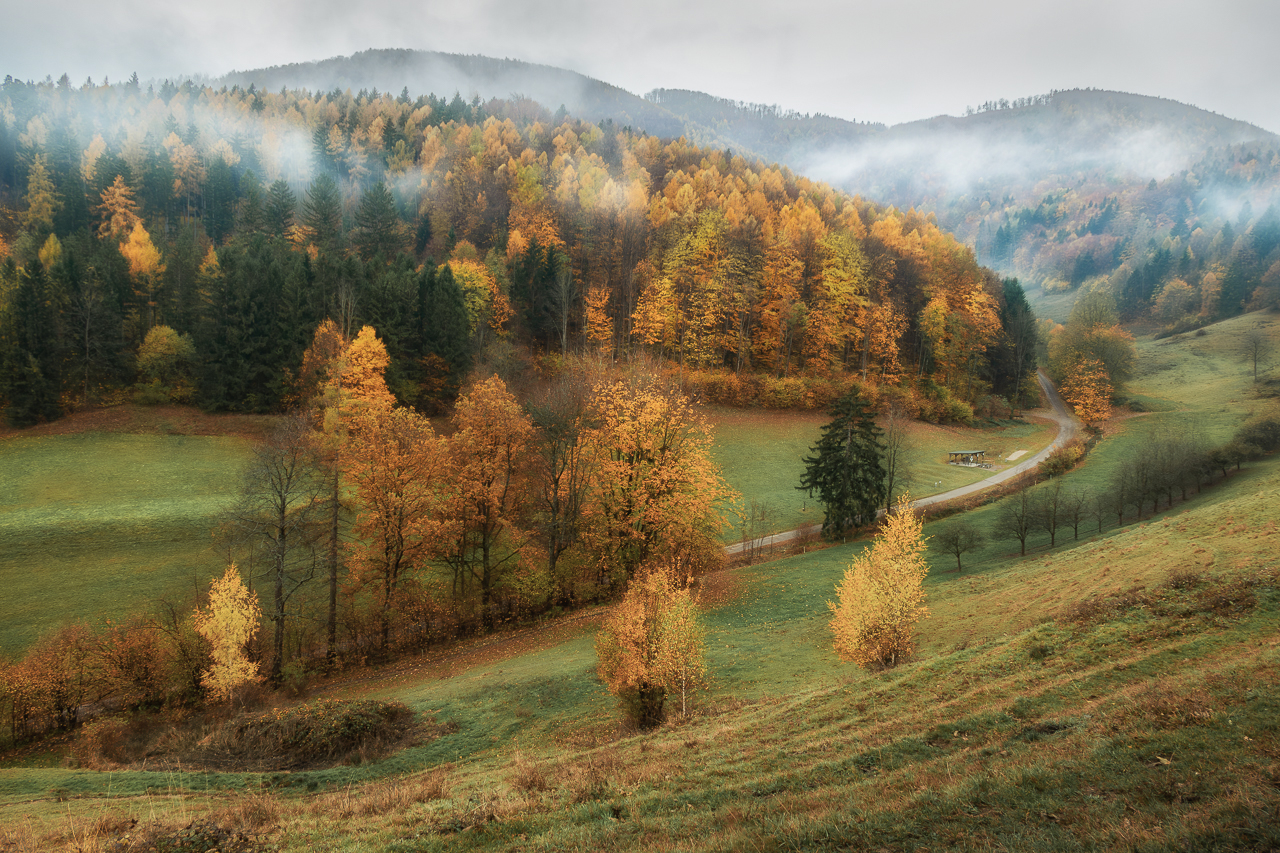 letztes Herbstleuchten