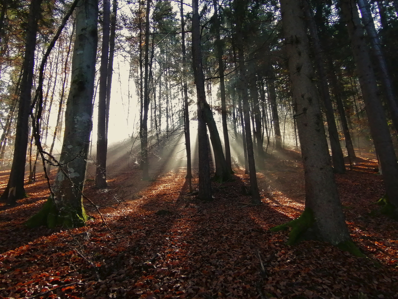 Licht am Horizont