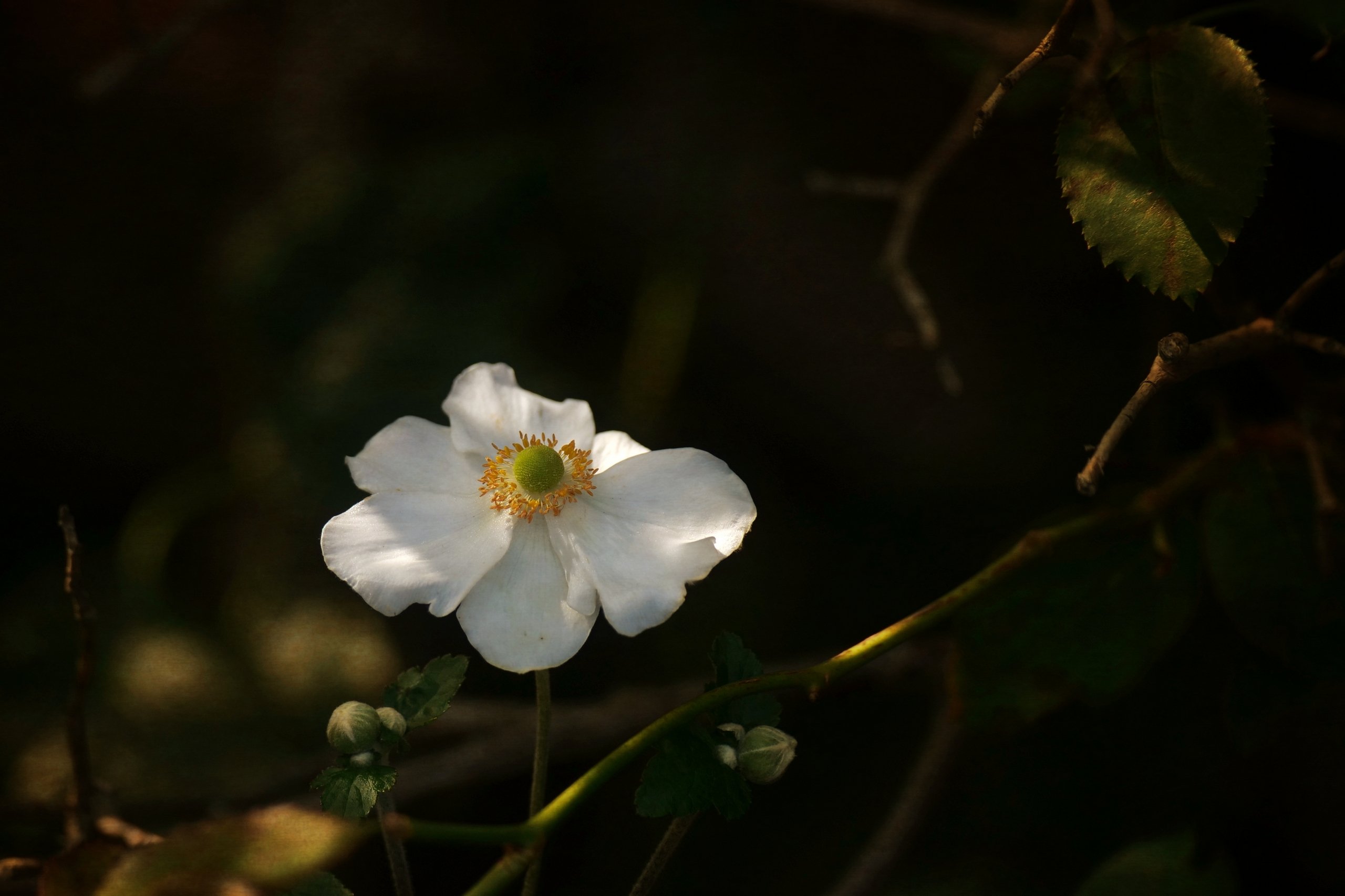 Licht im Dunklen