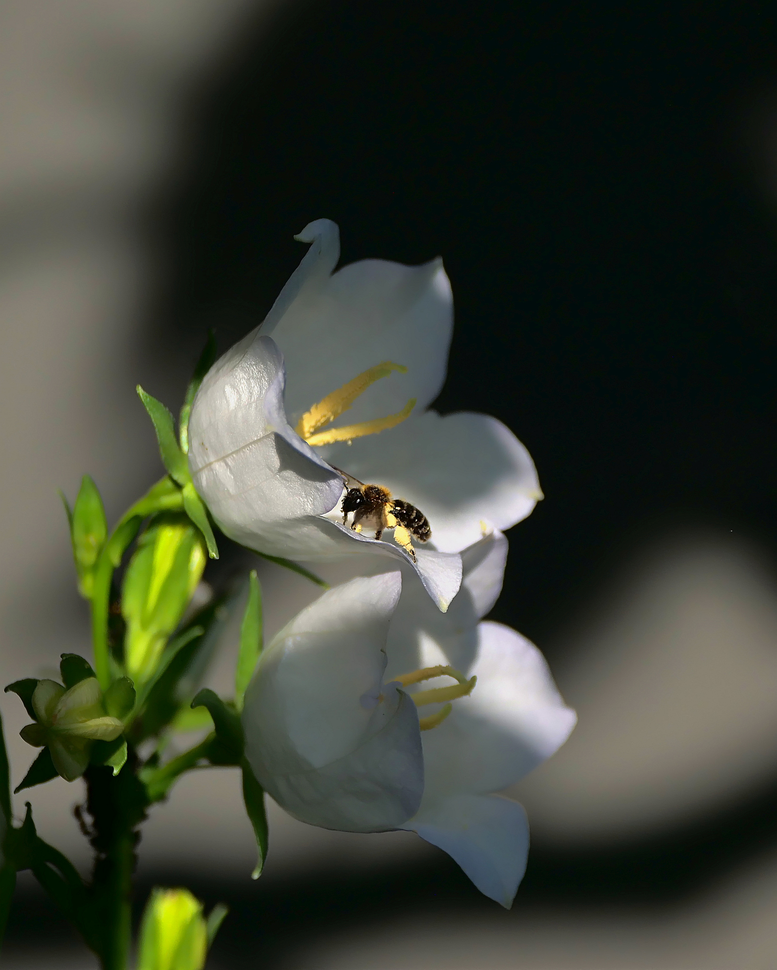Licht & Schatten