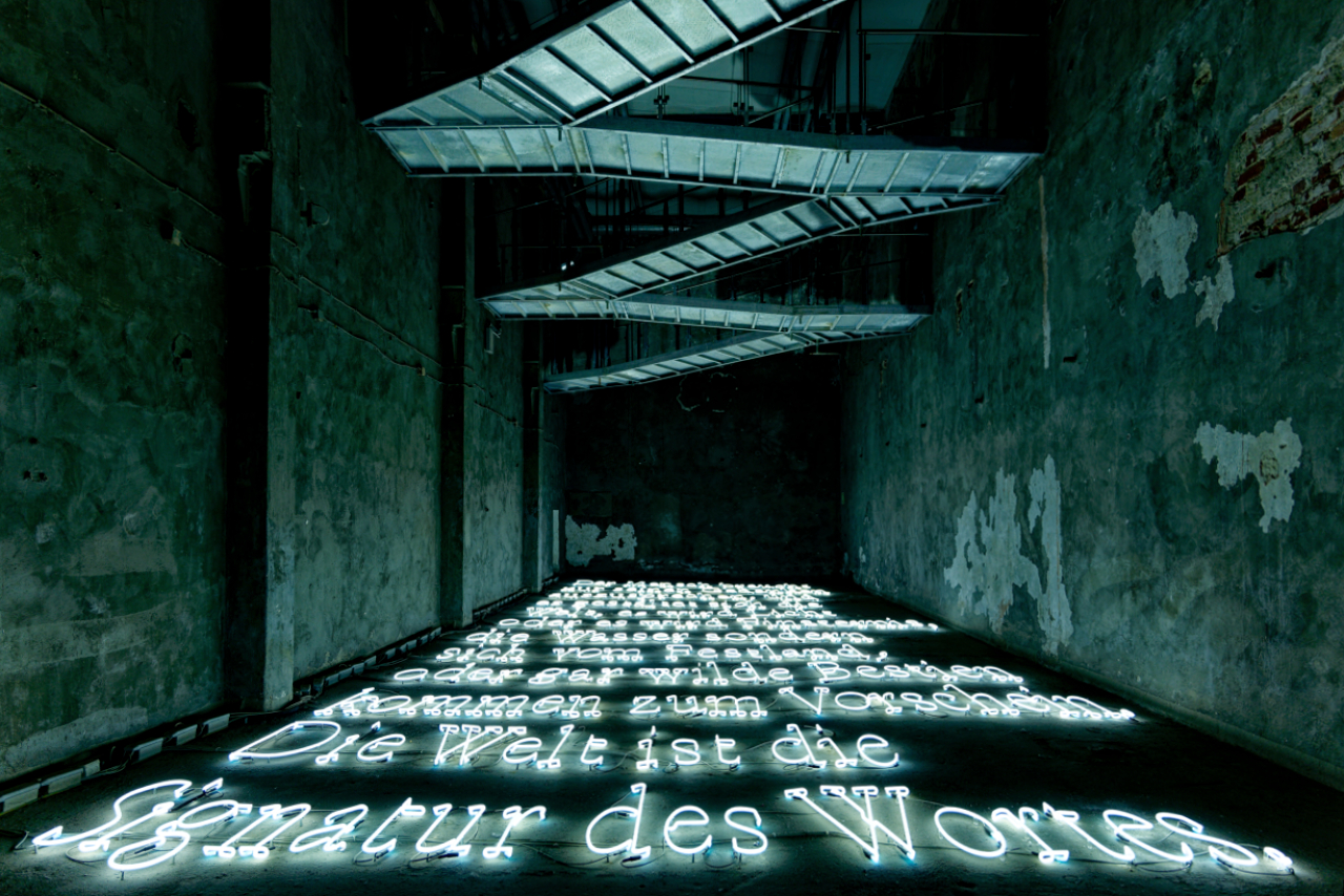 Licht-Sprache