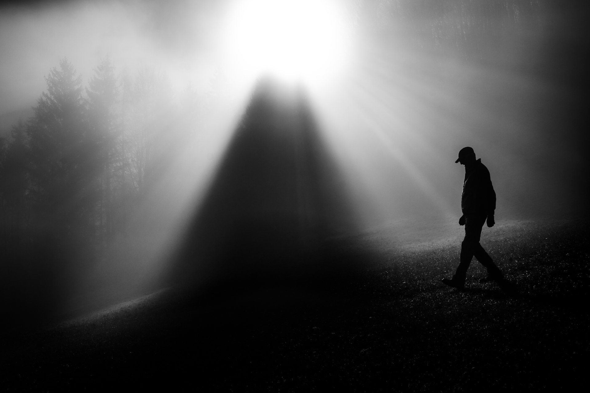 Licht und Schatten II