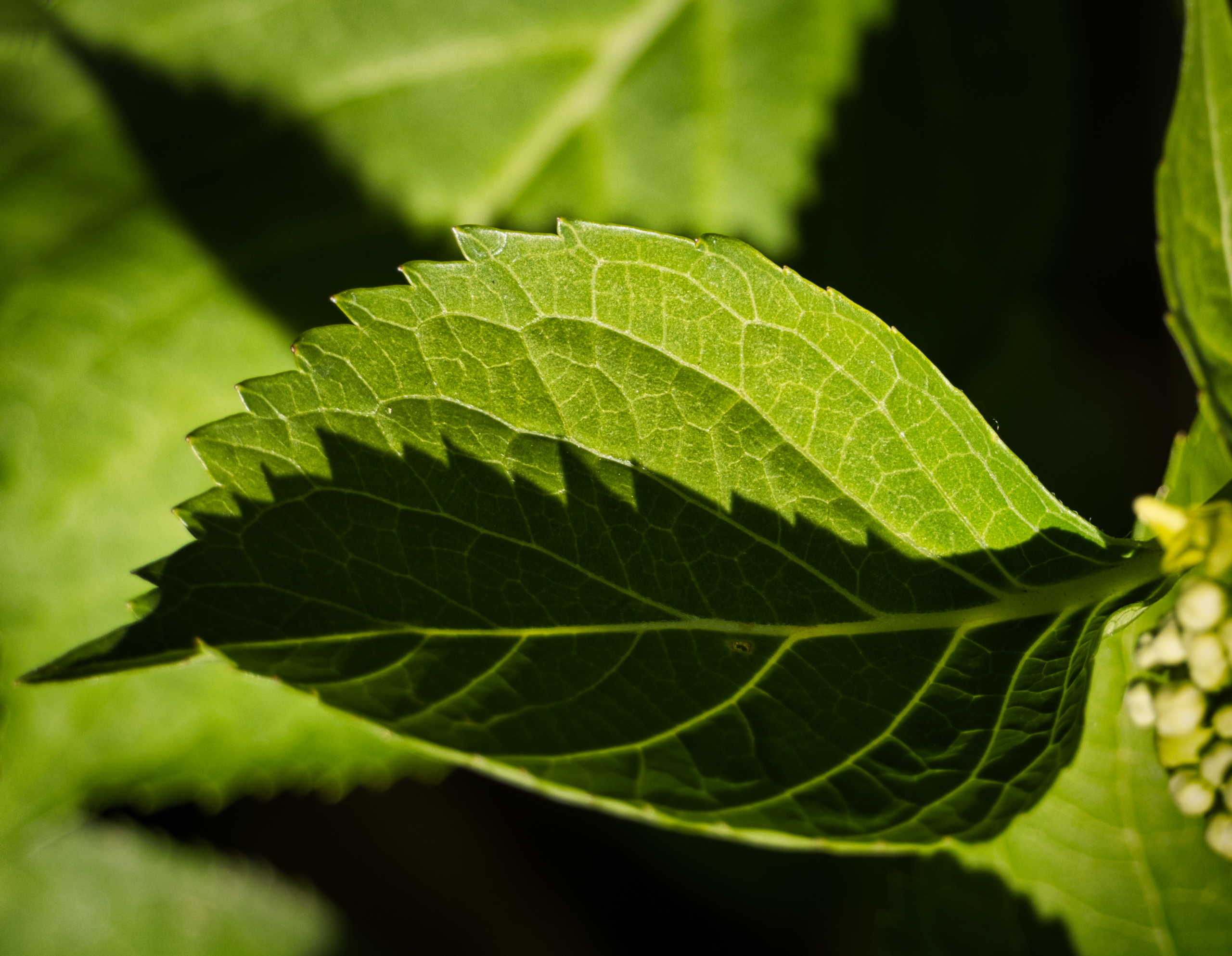 Licht und Schatten