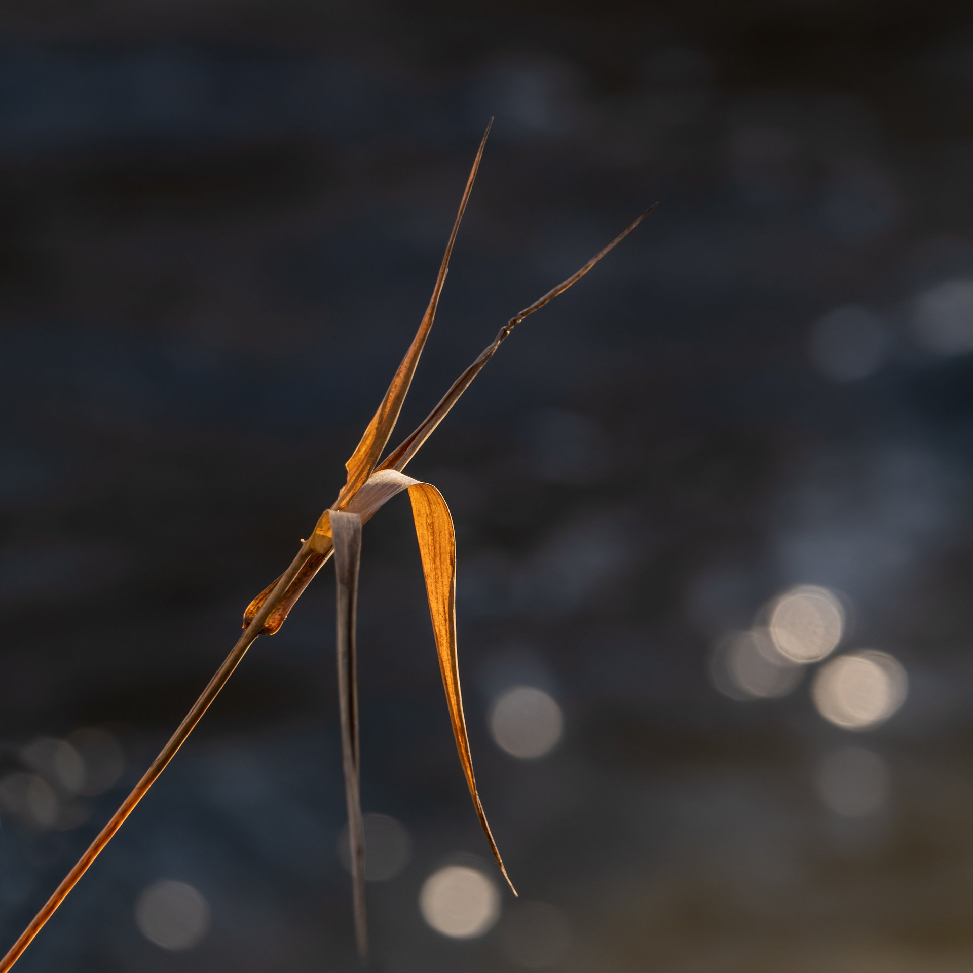 Lichtblick im Dunkeln