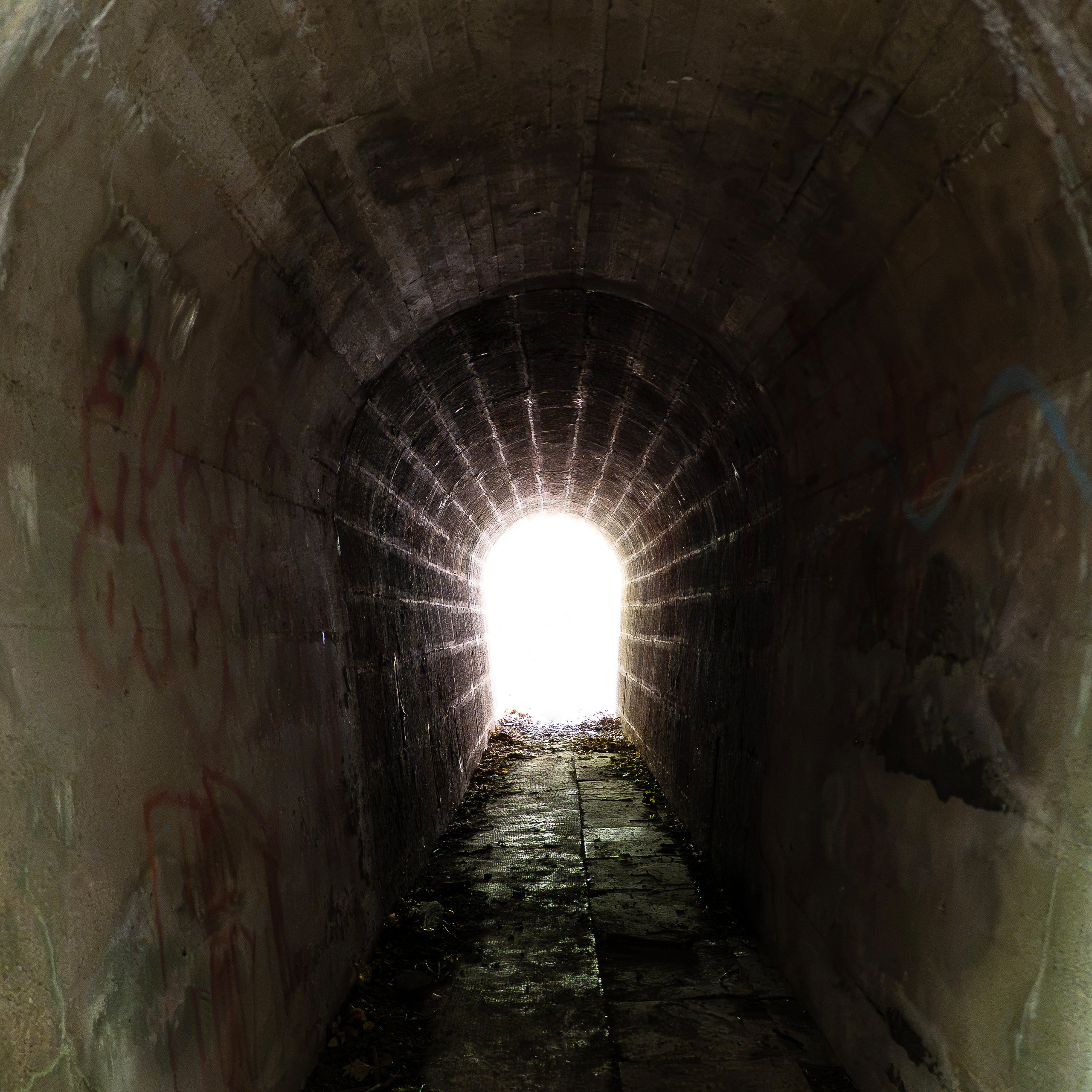 Lichtblick
