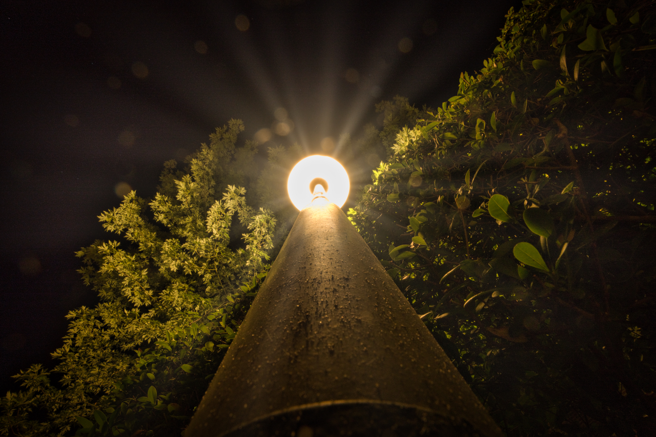 Lichtblicke aus der Lurchloge