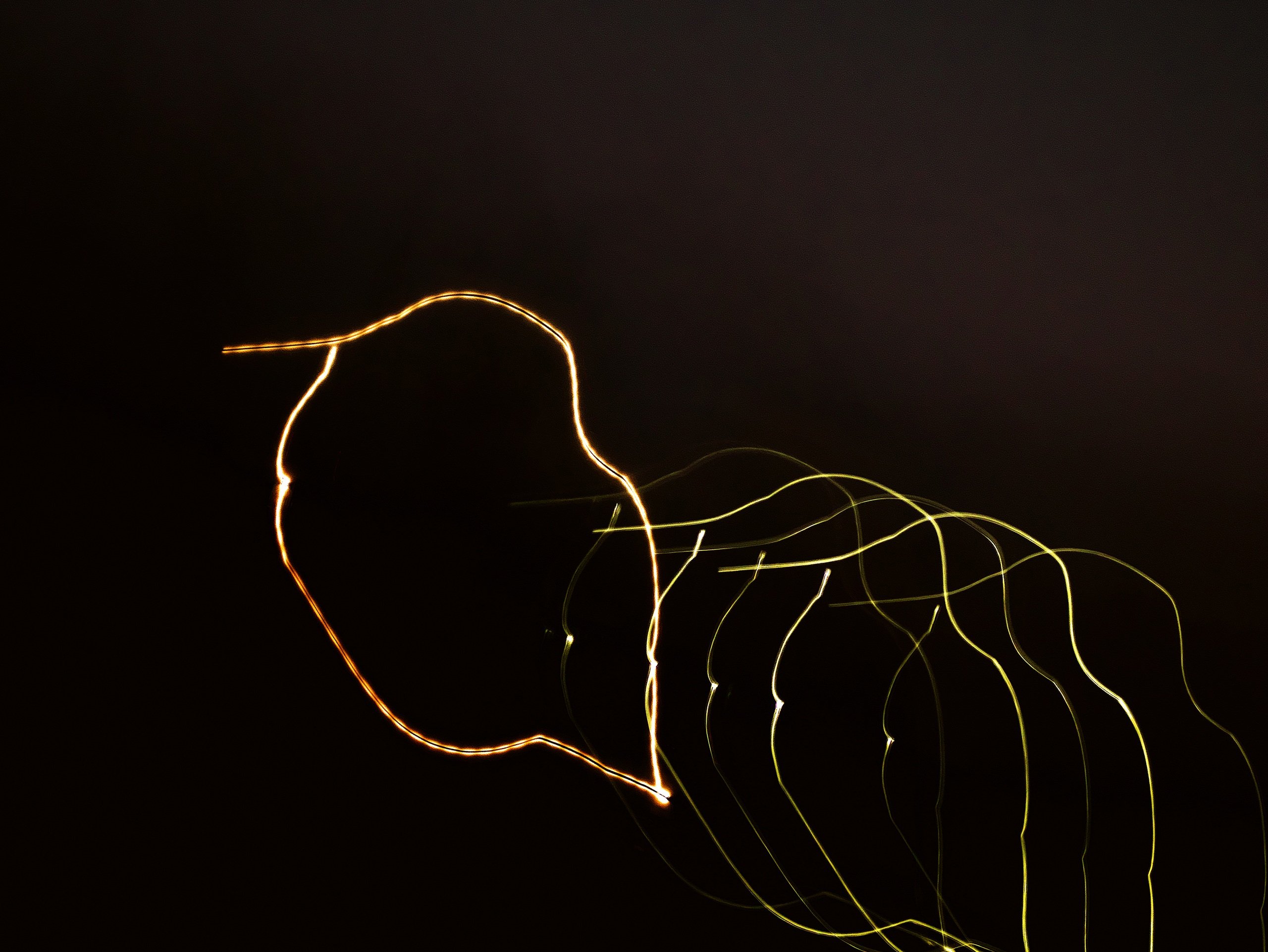 Lichtmalerei Ameise oder Vogel