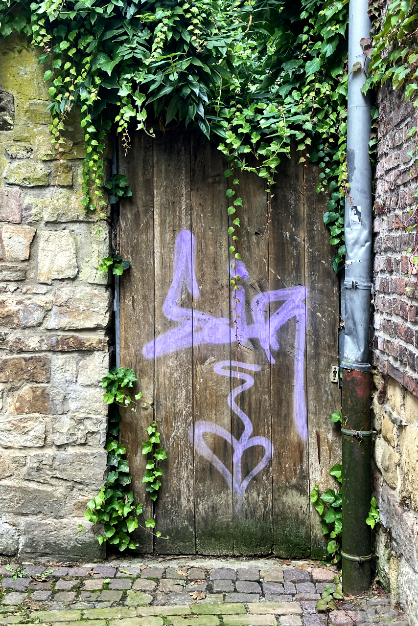 lila Grafitti