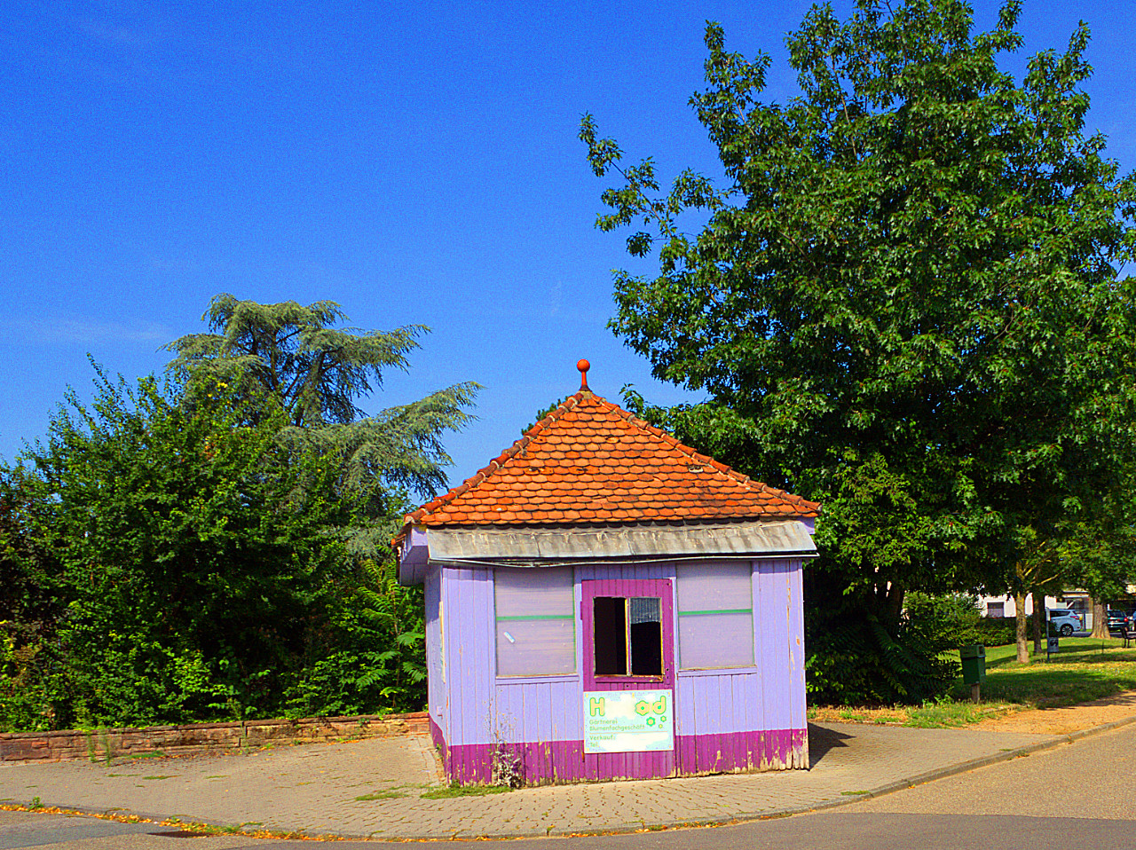 Lila Lost Place