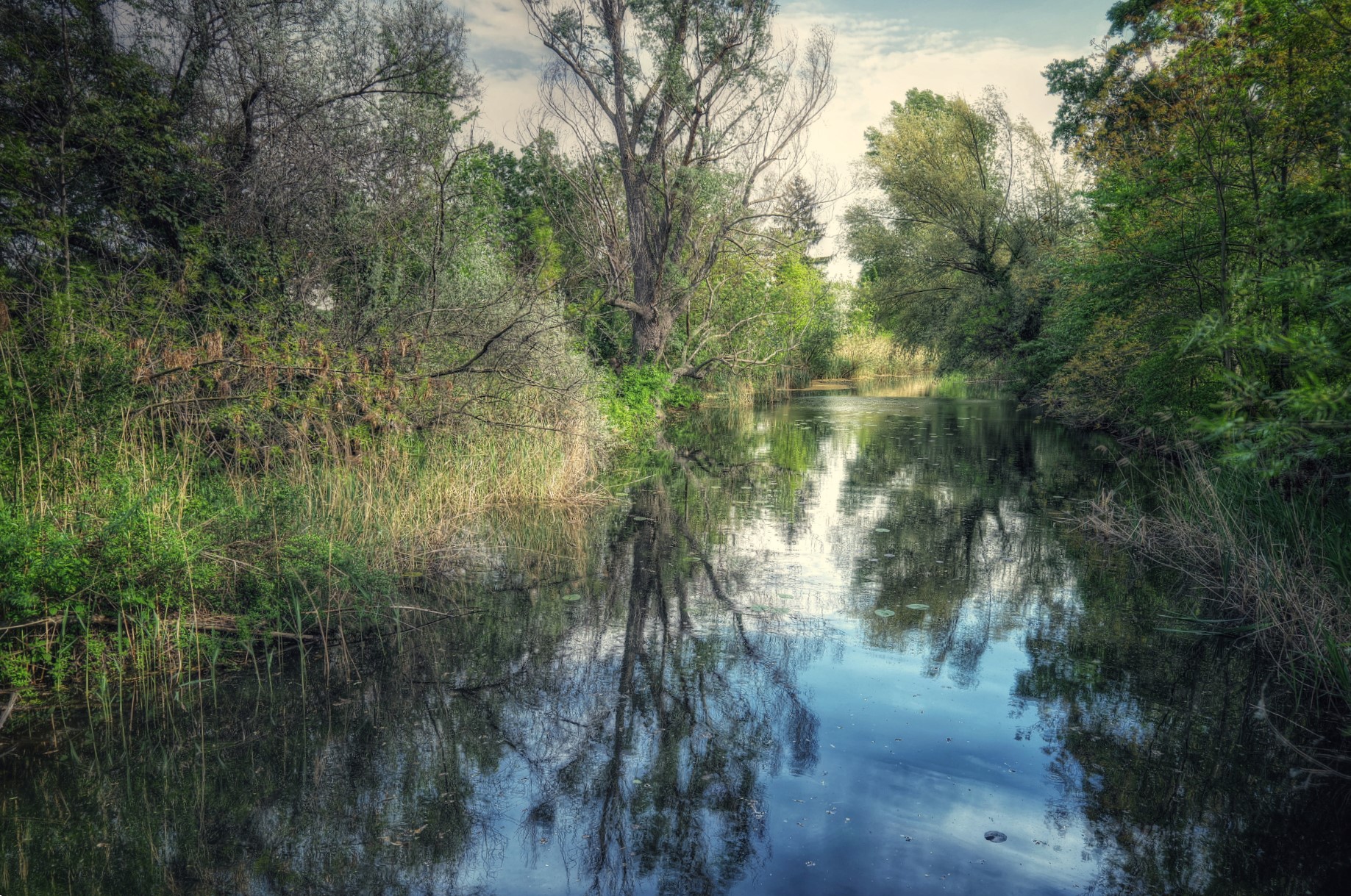 Lobau