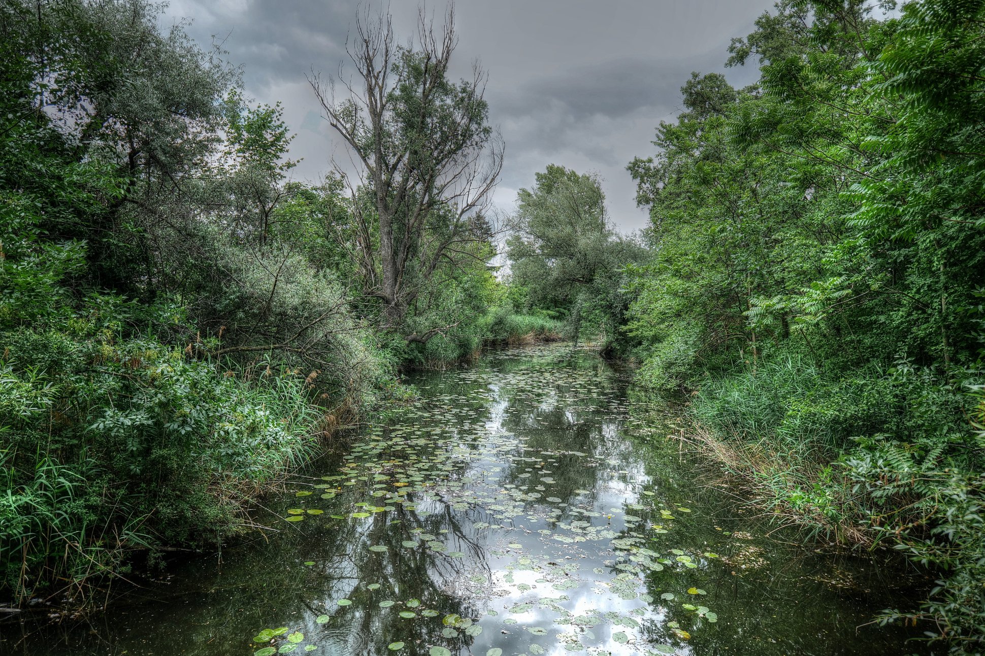 Lobau