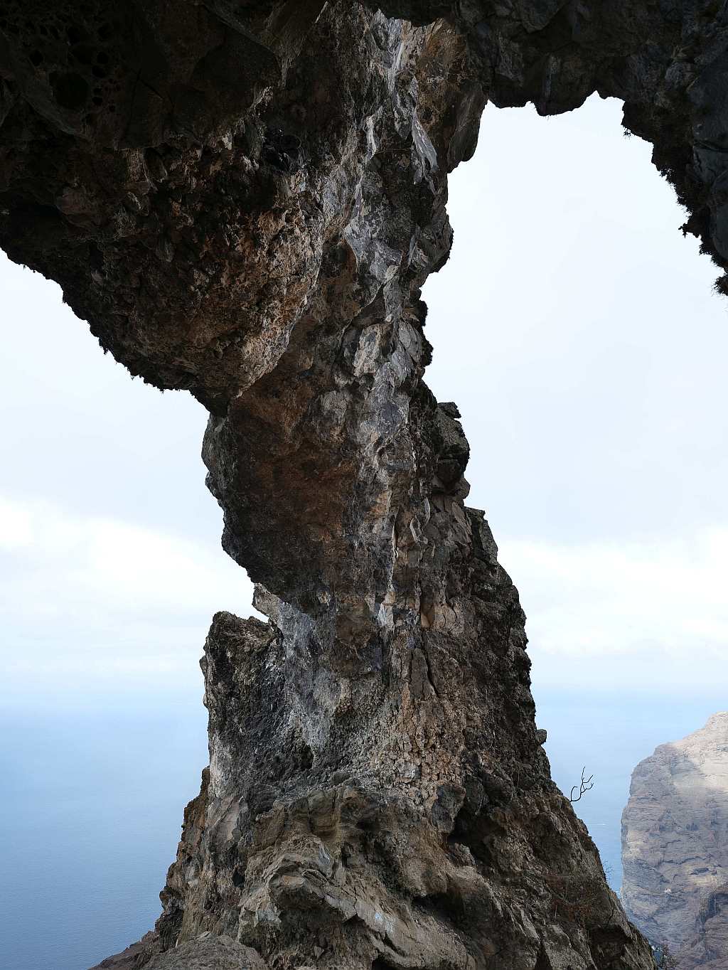 Los Gigantes 2.jpg