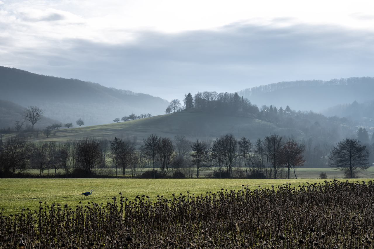 Lotenberg