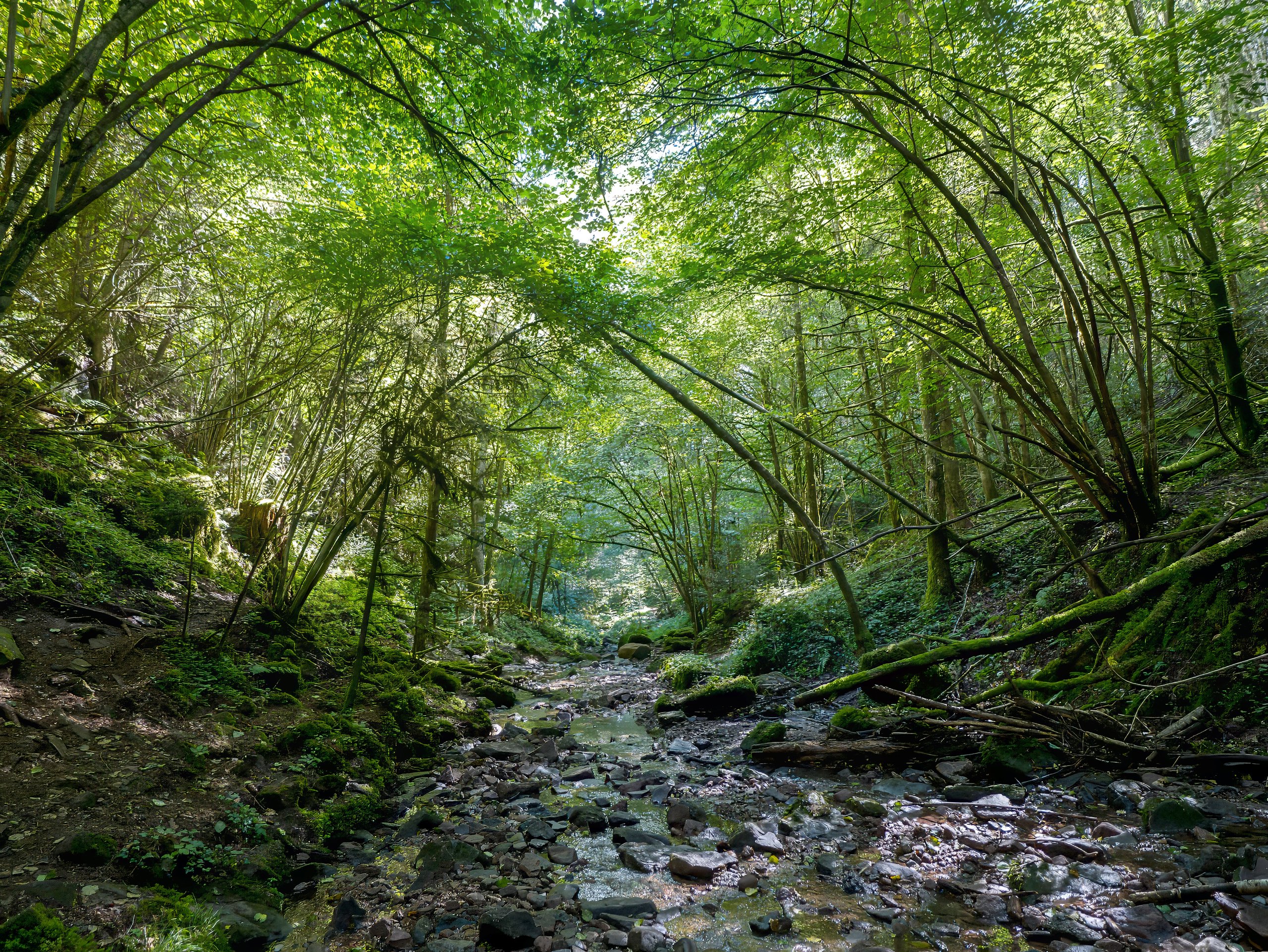 Lützenschlucht