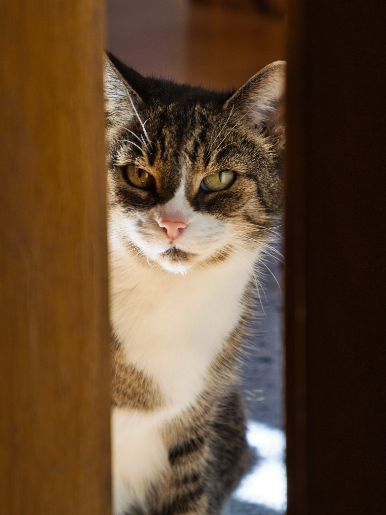 Mal einen Blick riskieren