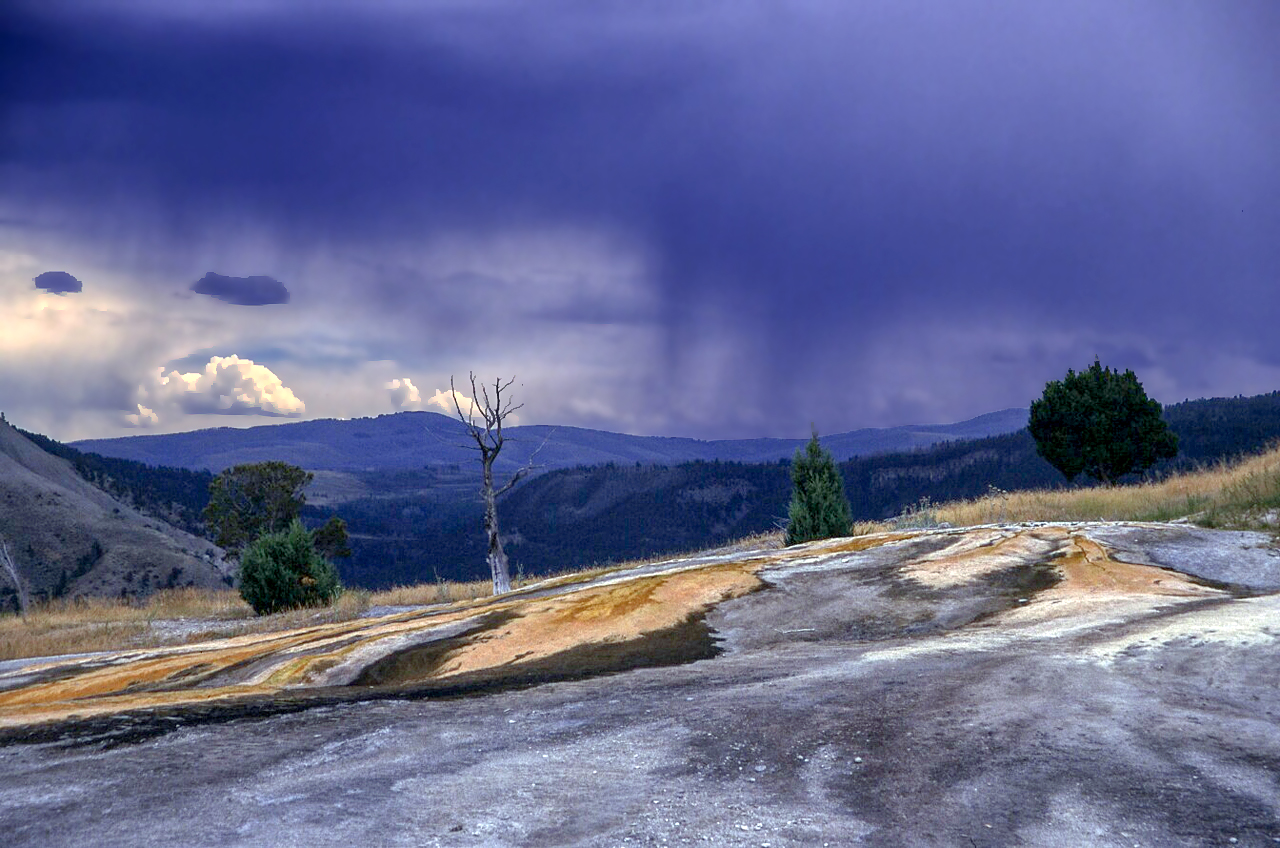 Mammoth Hot Springs.jpg