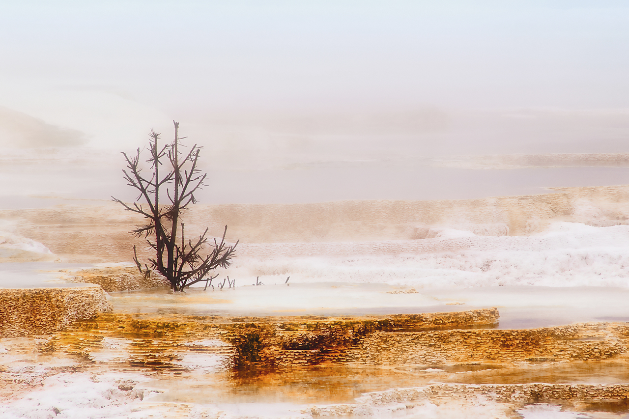 Mammoth Hot Springs