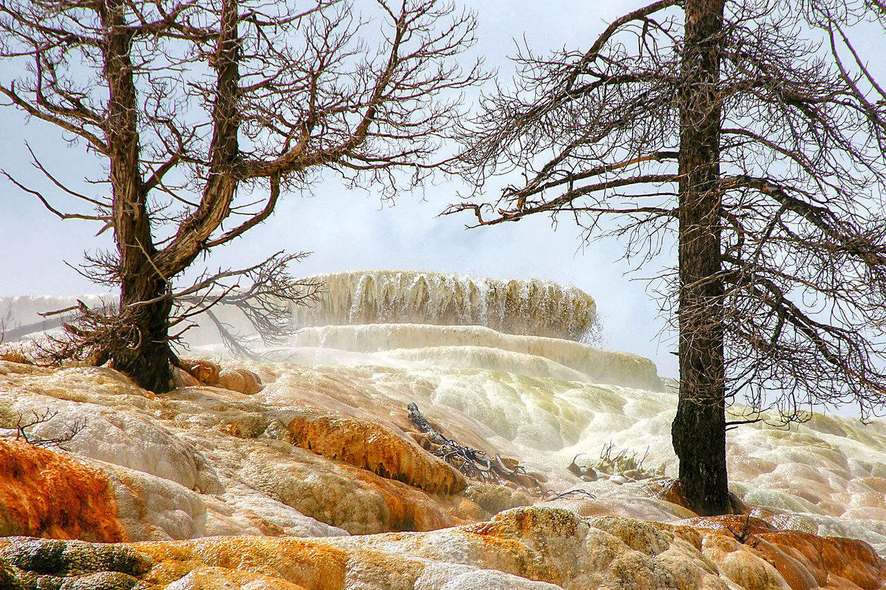 Mammoth Hot Springs