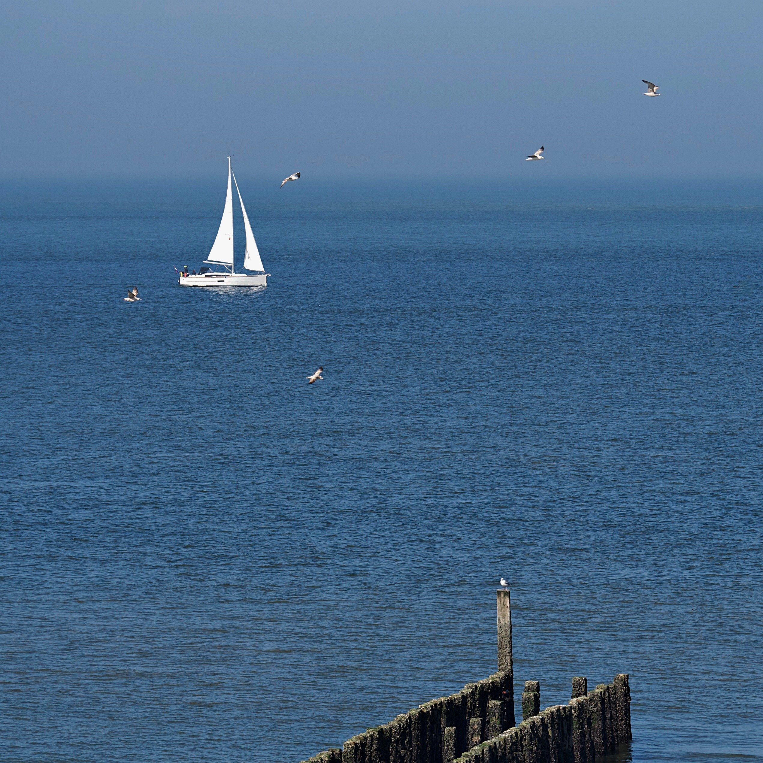 ... maritimes Dreierlei