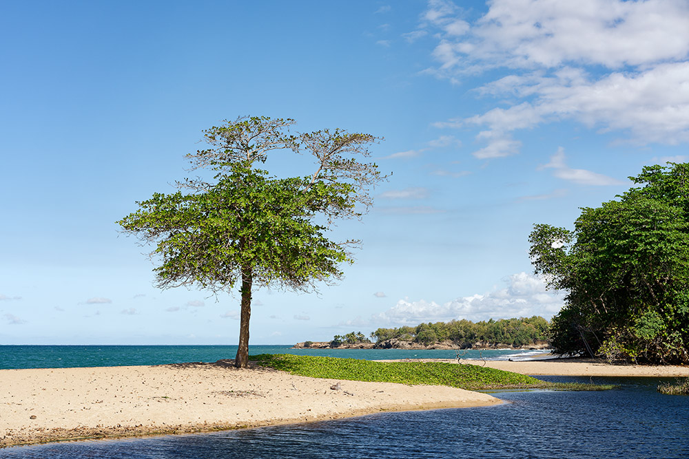 Martinique