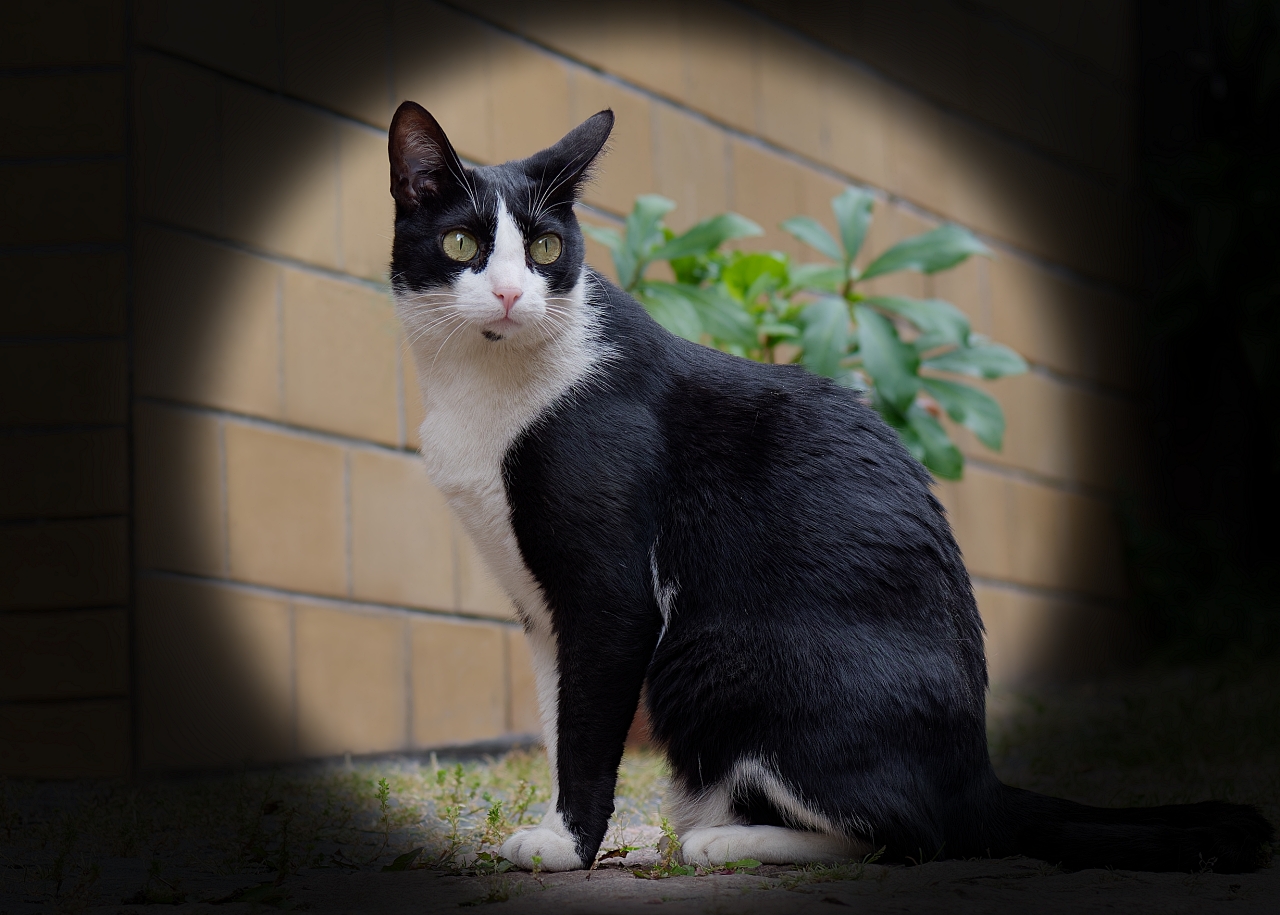 Mausperspektive 🐭