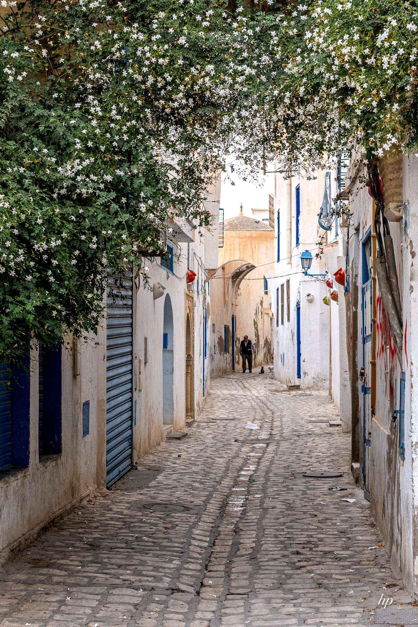 Medina in Kairouan II