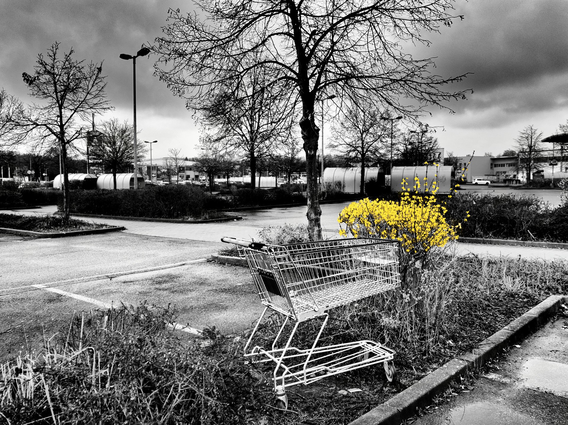 Mehr Frühling Wagen