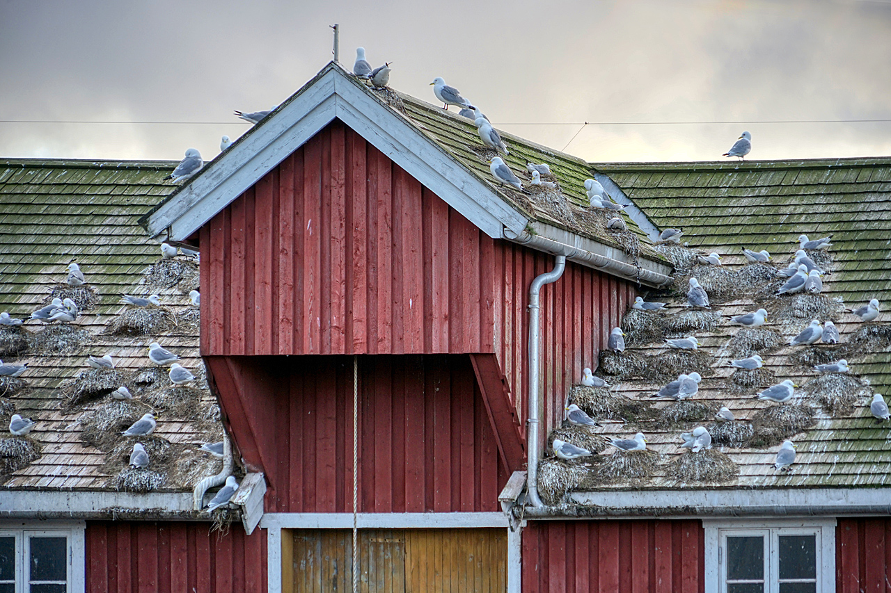 Mehrfamilienhaus