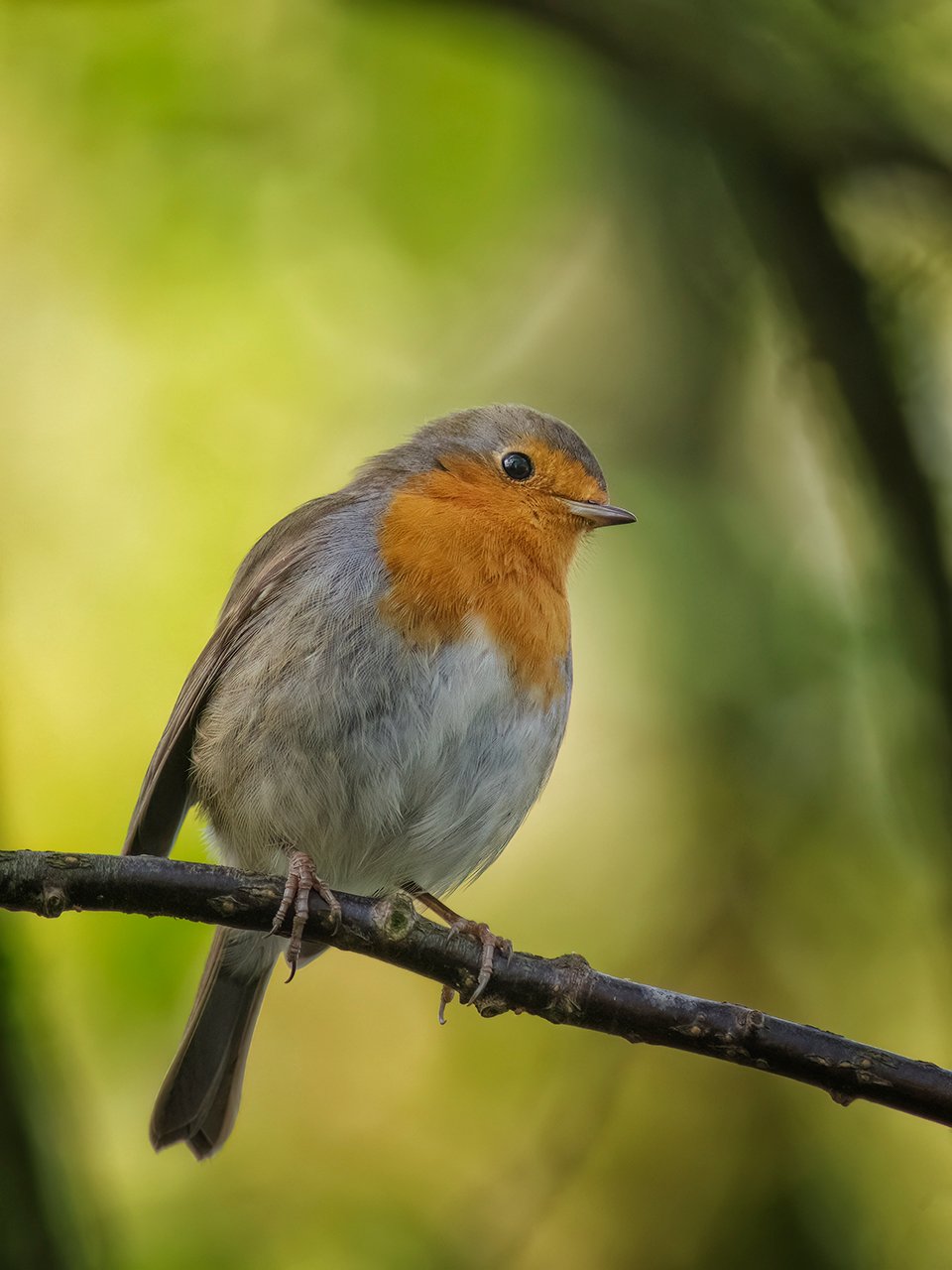 "Meinst Du das wird was?"