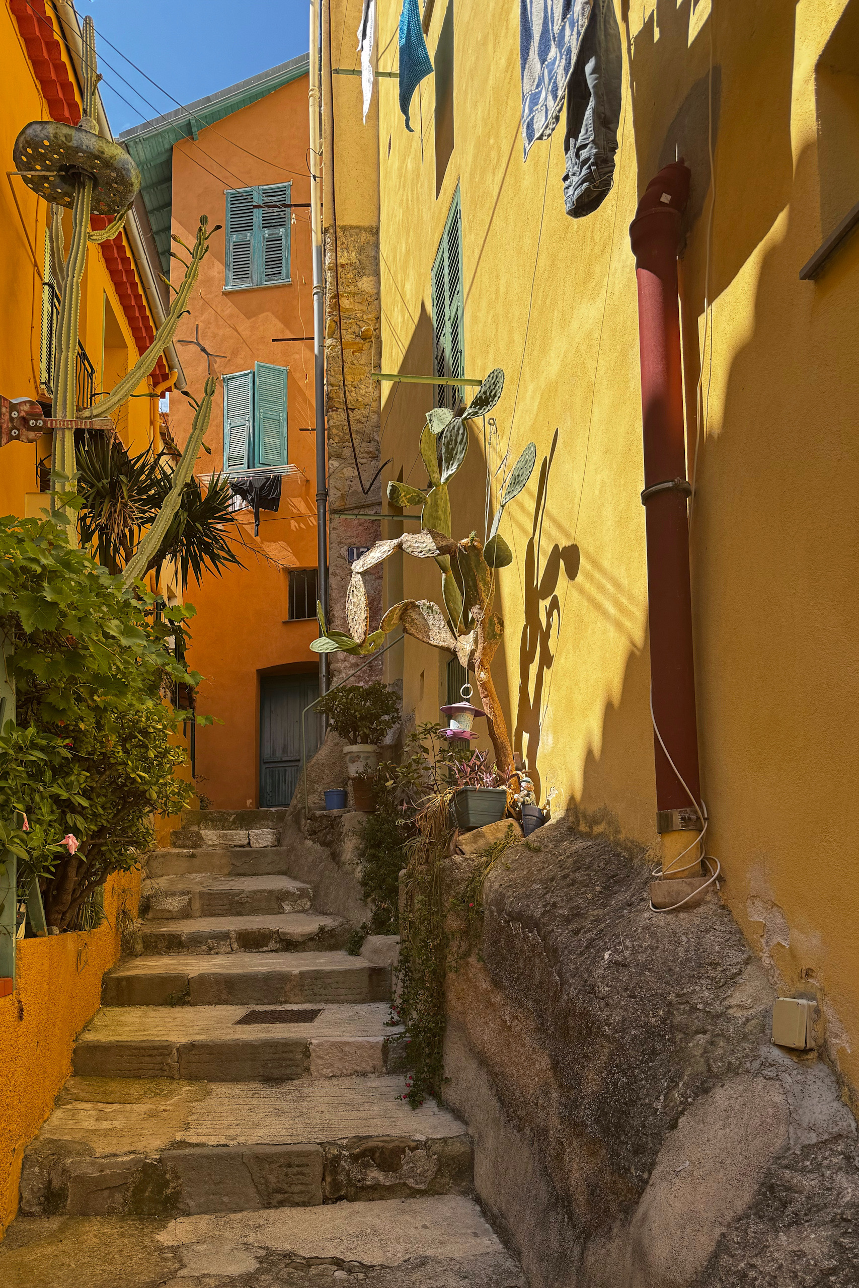 Menton