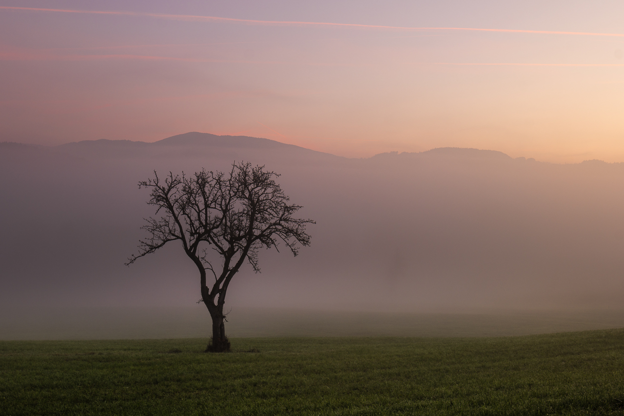 Minimalismus der Natur