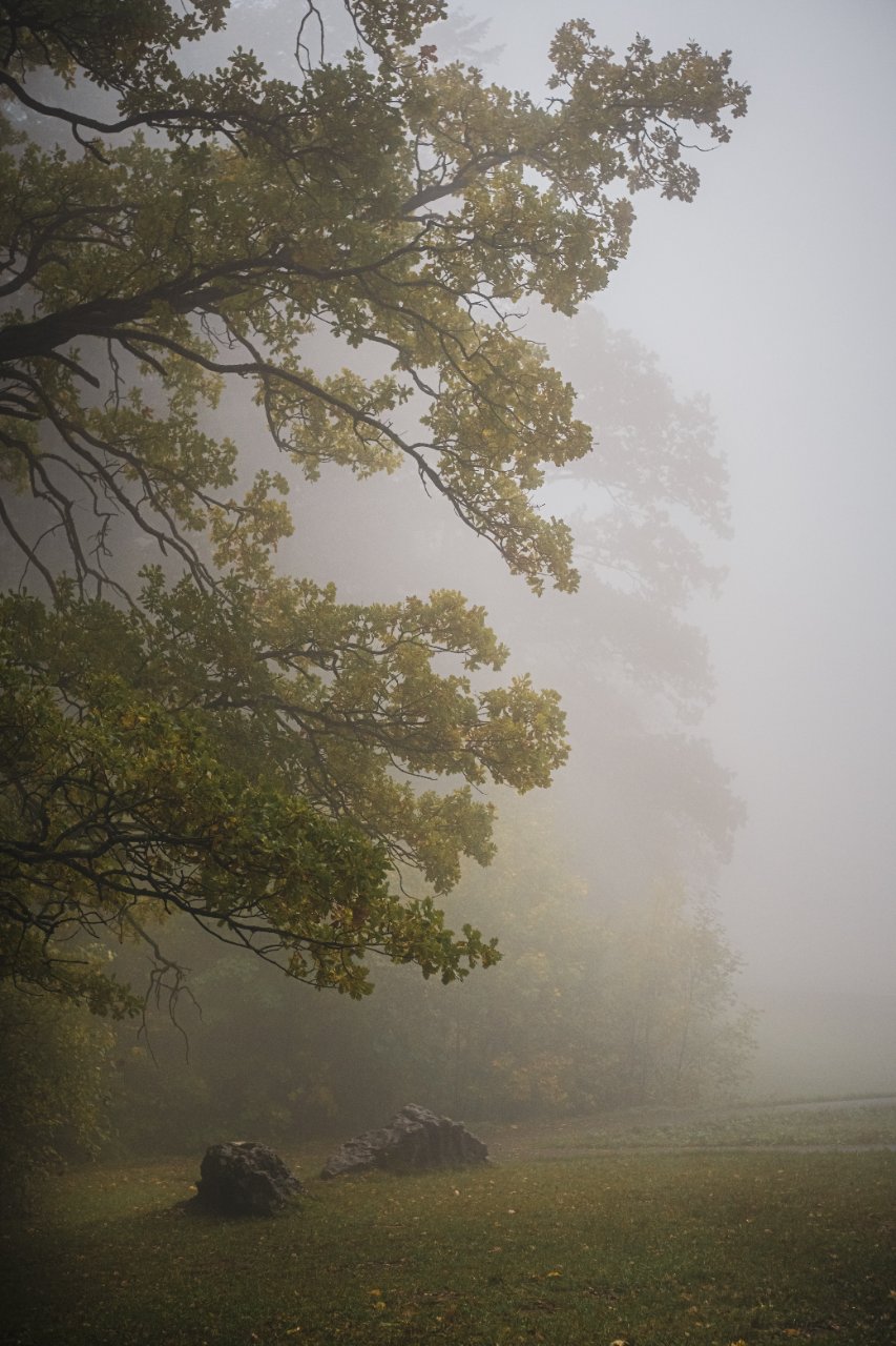 Mistwetter II