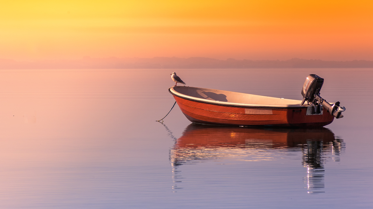 Möwe_Boot_Sonnenaufgang.jpg