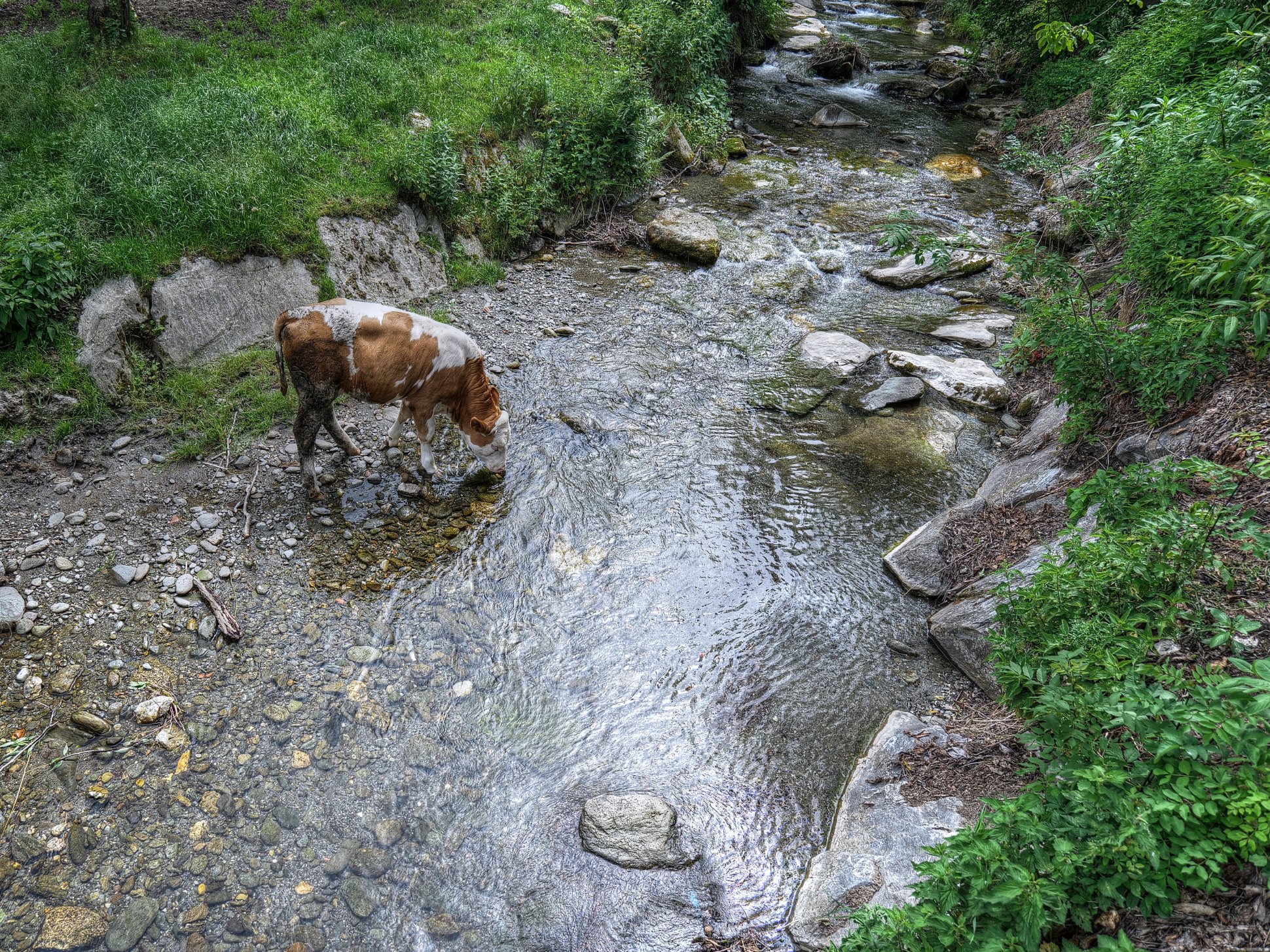 Molzbach