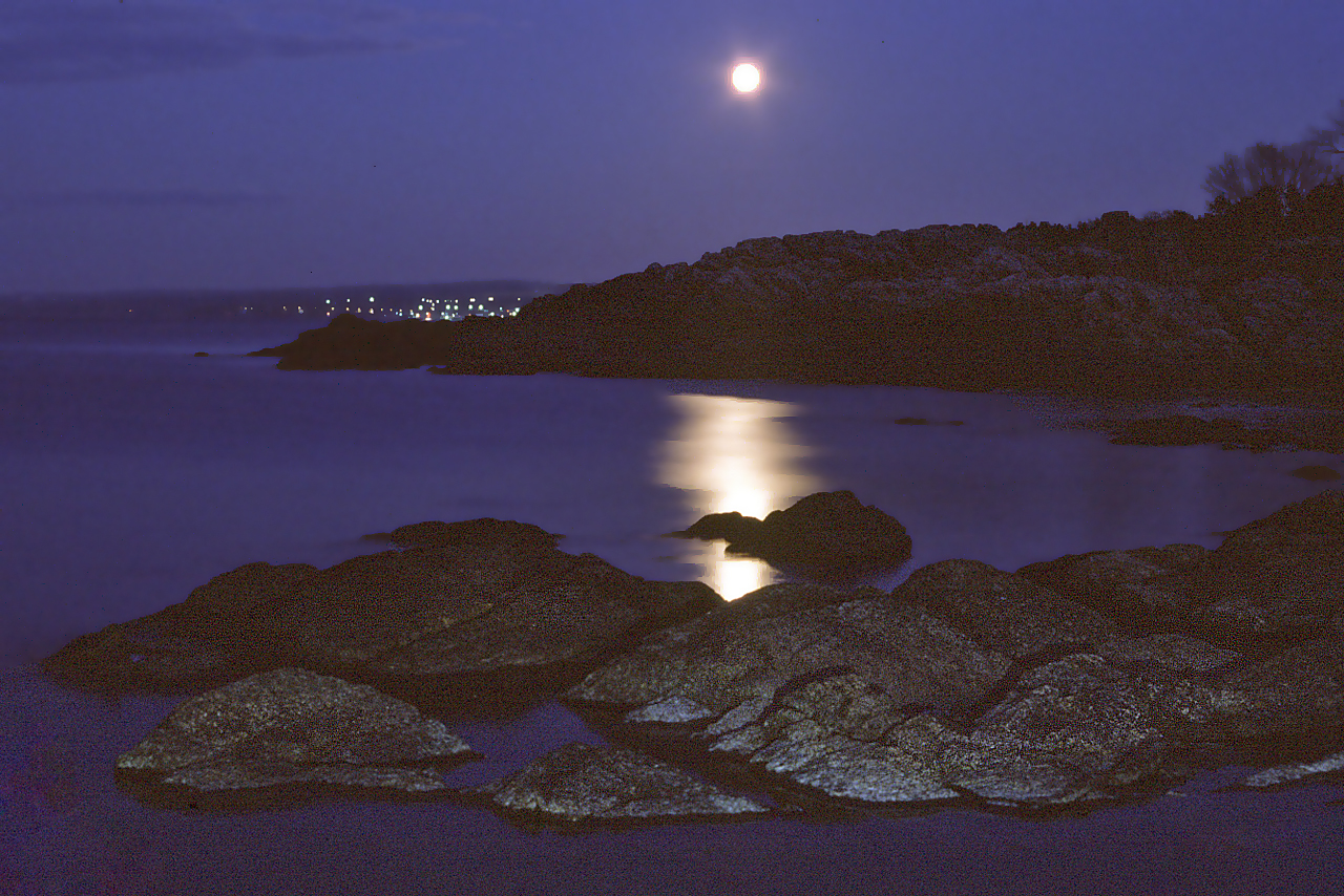 Moonlight