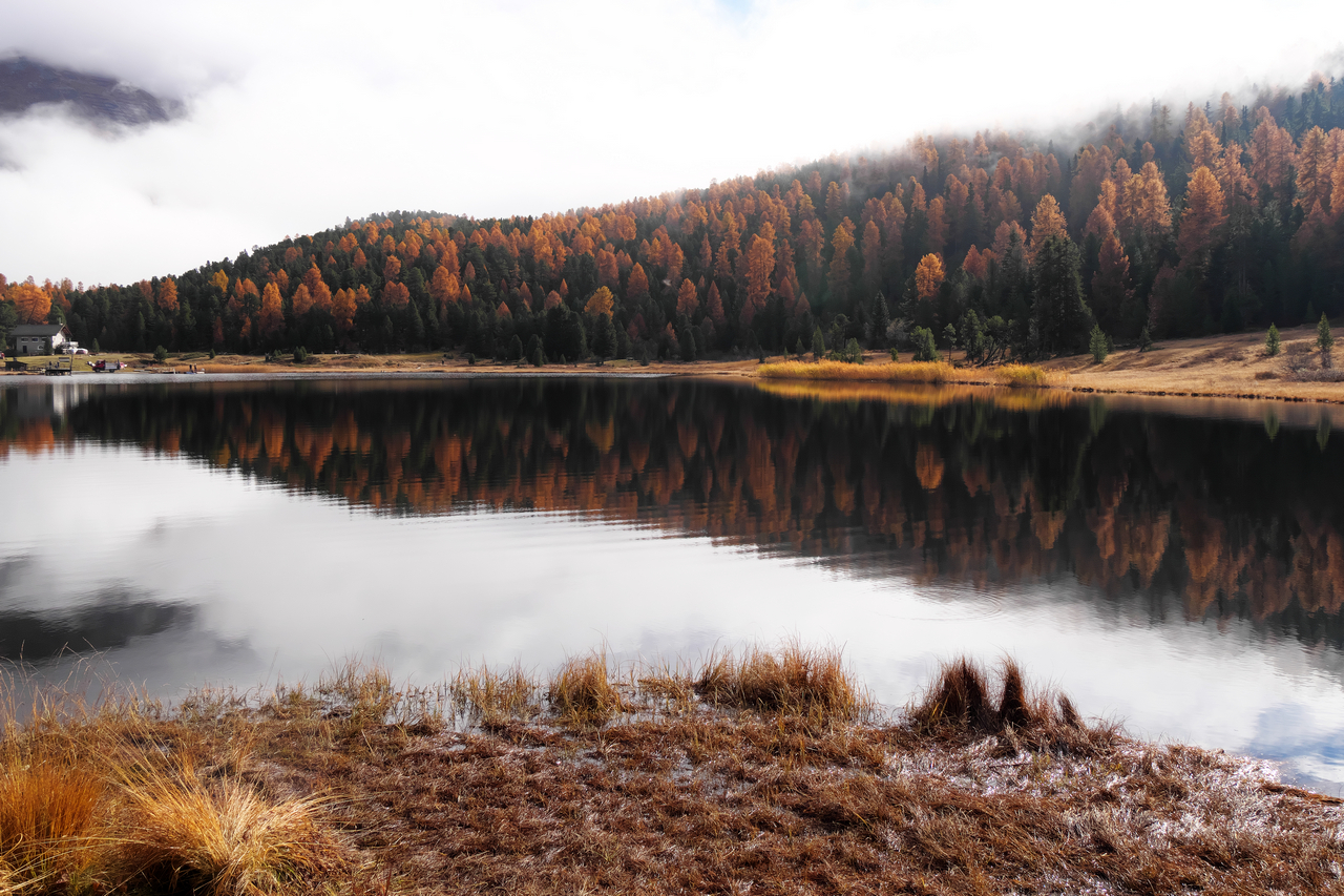 Moorsee in der Schweiz (Graubünden)