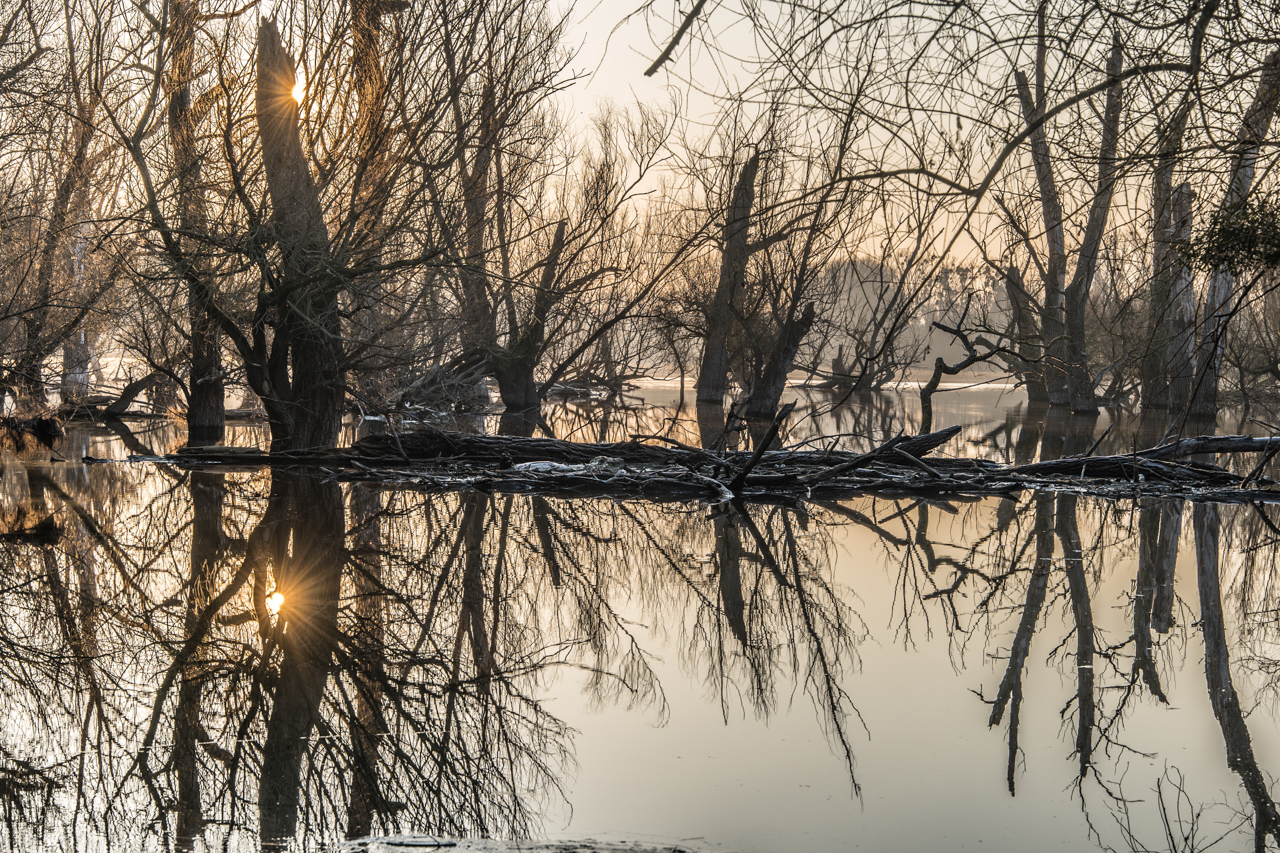 Morgendliche Spiegelung.jpg