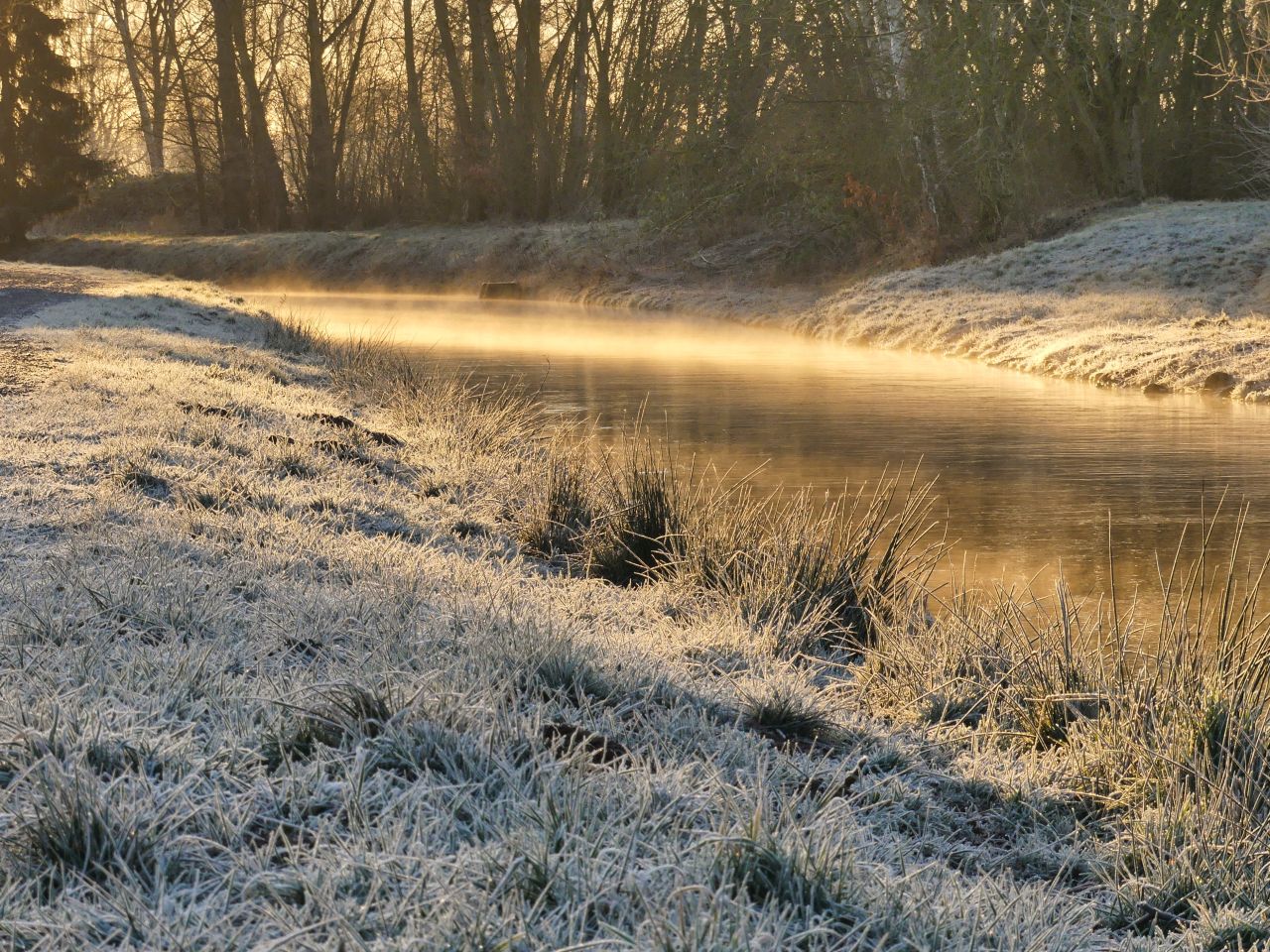 Morgenlicht