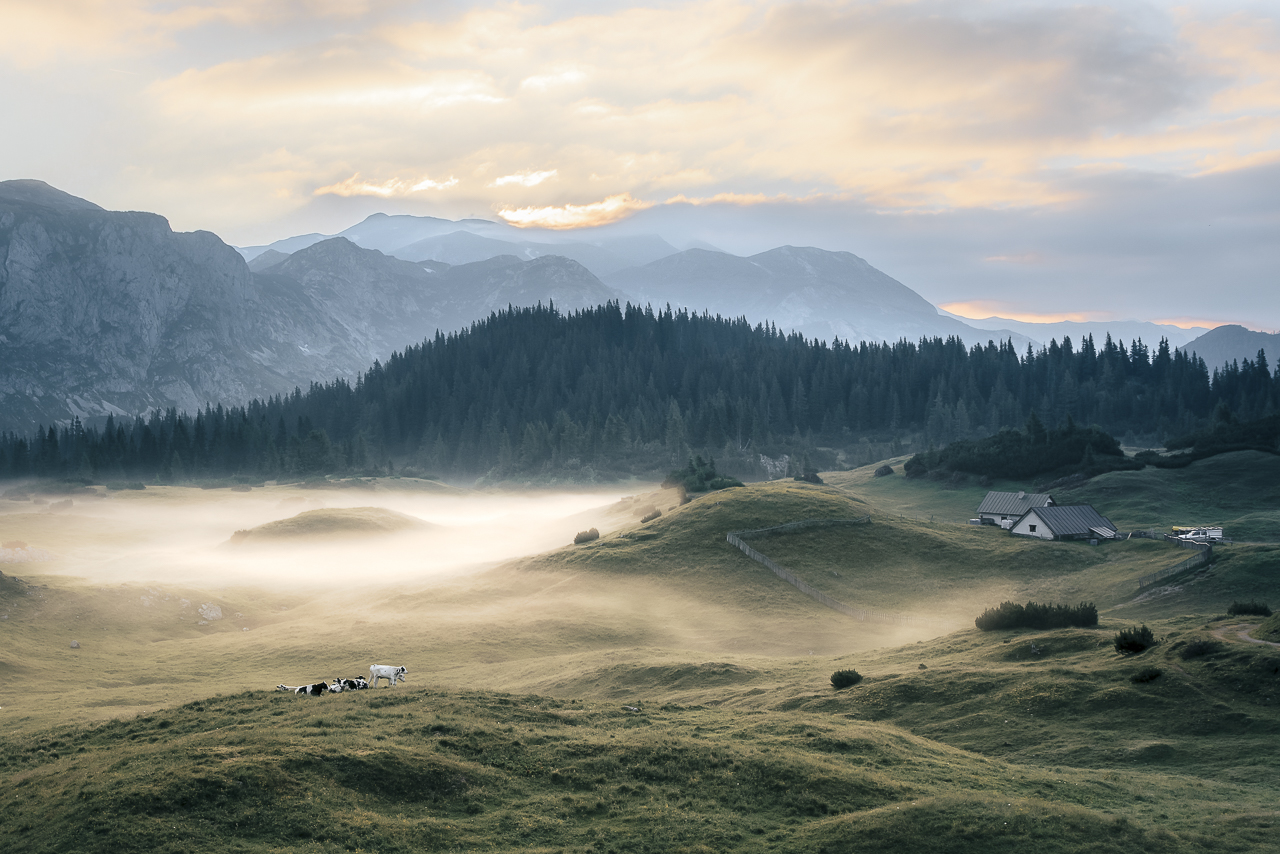 Morgennebel auf der Alm