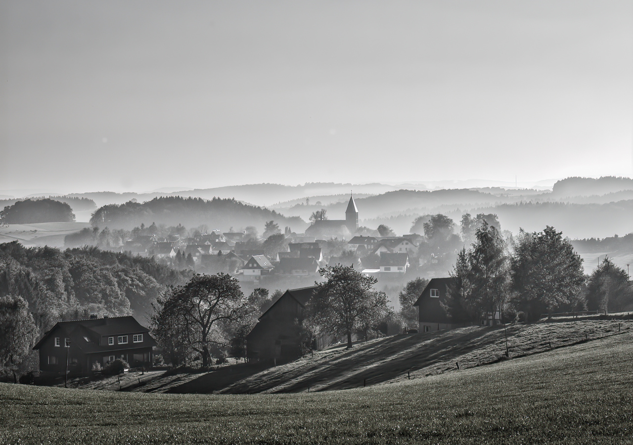 Morgennebel im Bergischen Land