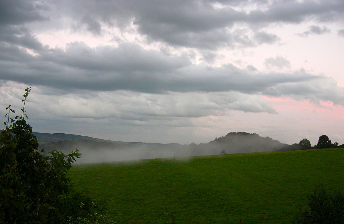 Morgennebel