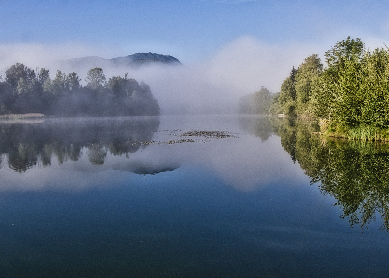 Morgennebel