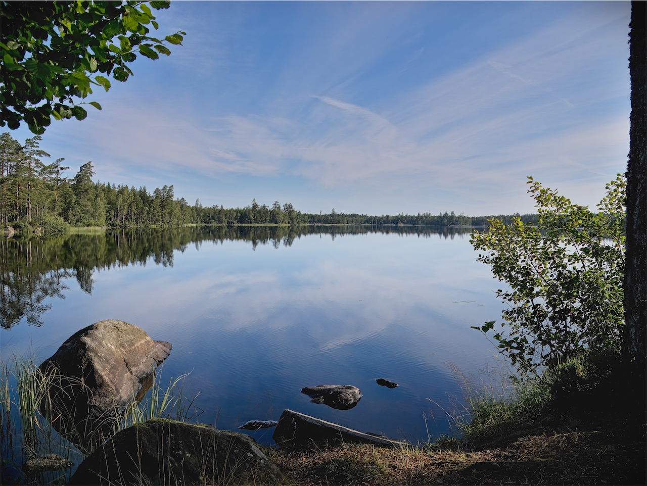 Morgens am See (in Schweden)