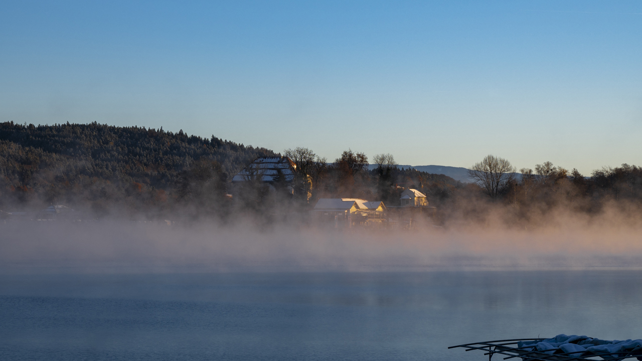 Morgens am See