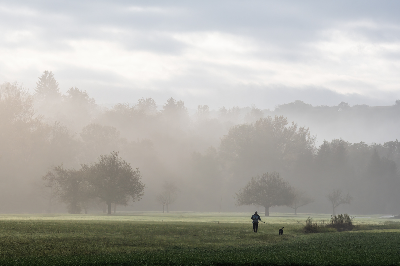 morgens mit dem Hund