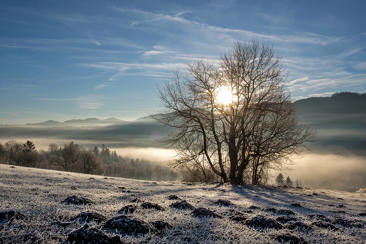 Morgensonne im Winter