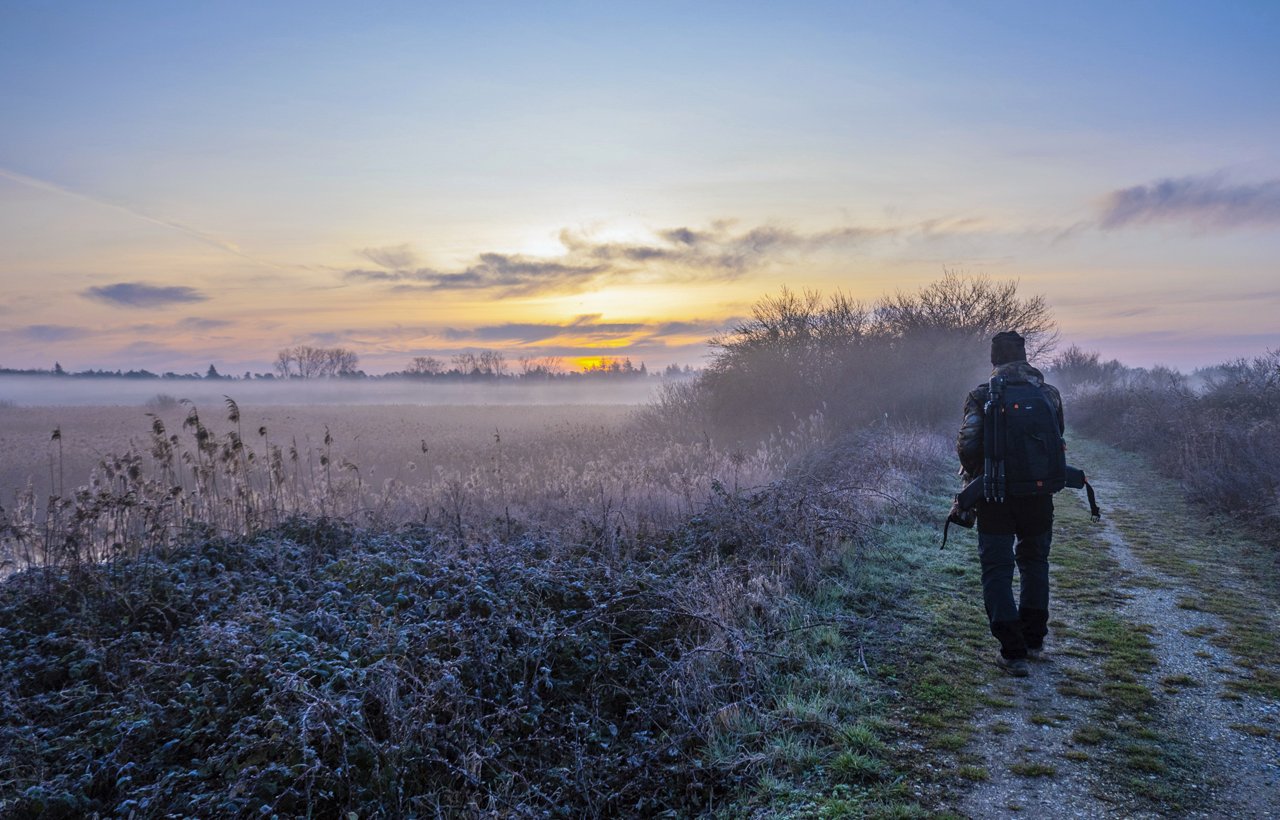 Morgenstund hat Gold im Mund