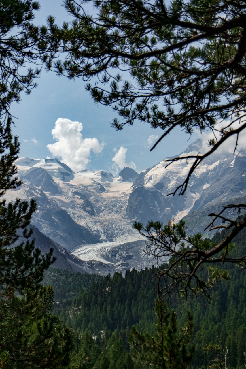 Morteratschgletscher