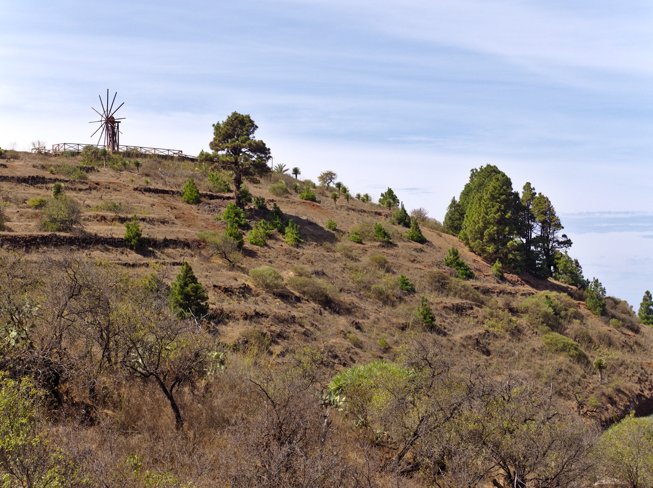 Mühle auf La Palma